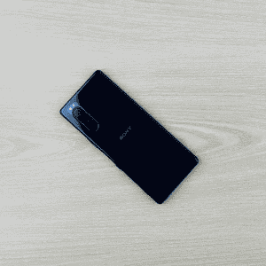Sony Xperia 5-Used Phone-Without Box